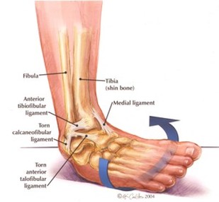ankle pain with plantar flexion